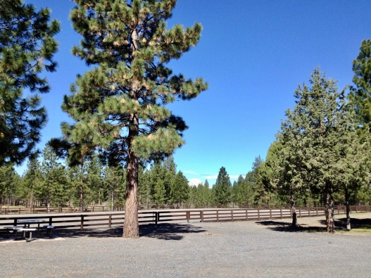 Shevlin Outdoor Side View